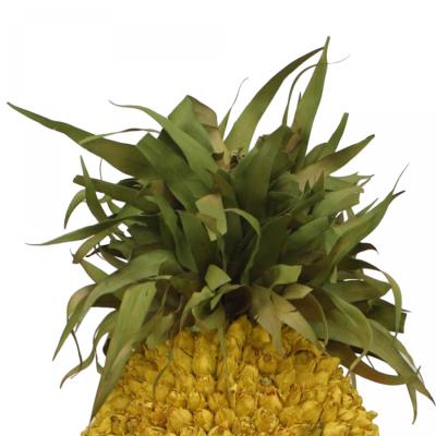 Urn With Dried Flower Pineapple Arrangement