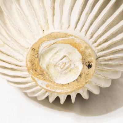 Ursula Morley Price Ceramic