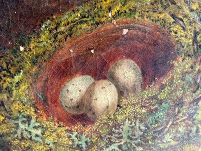 VICTORIAN STILL LIFE OF BIRDS NEST MEADOW FLOWERS AND PEACOCK BUTTERFLY