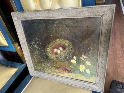 VICTORIAN STILL LIFE OF BIRDS NEST MEADOW FLOWERS AND PEACOCK BUTTERFLY