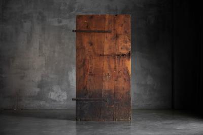 Vernacular Folk Art Pine Door Hautes Alpes France 19th Century