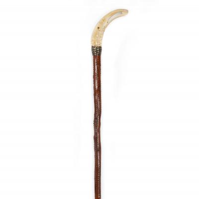 Very Fine Carved Bird Head Antique Walking Stick Cane