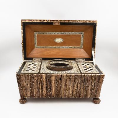Very Rare Anglo Indian Stag Horn Tea Caddy Circa 1830