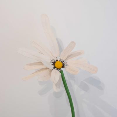 Victor Cord homme Marguerite