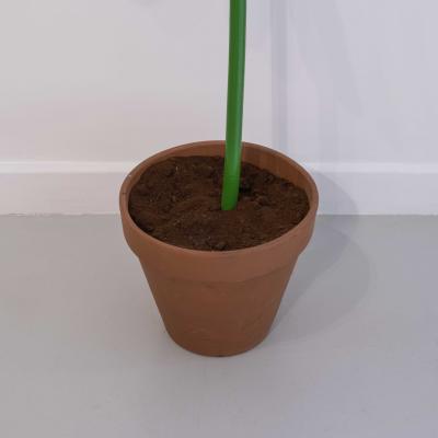 Victor Cord homme Marguerite