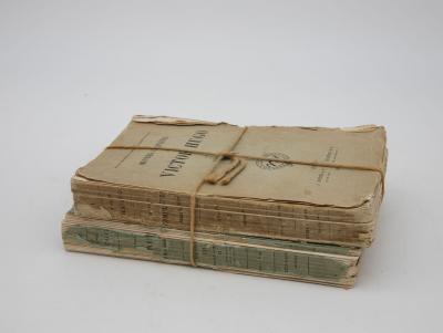 Victor Hugo Set of 2 Books