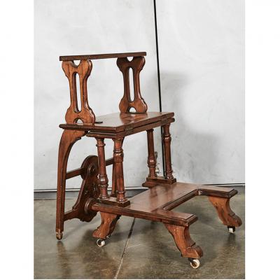 Victorian Amorphic Chair