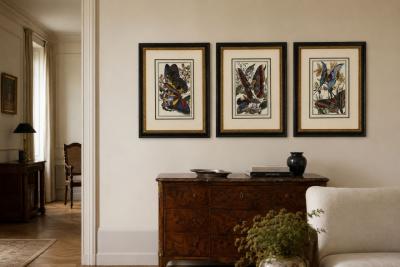 Victorian Style Framed Butterfly Prints Gilt Painted Wood USA 20th c 