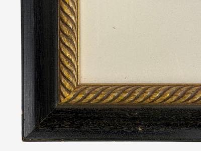 Victorian Style Framed Butterfly Prints Gilt Painted Wood USA 20th c 