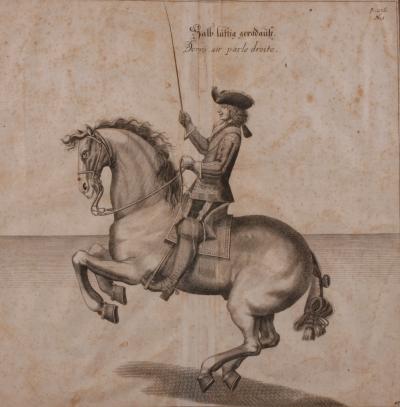 Vienna Spanish Riding School Set of Six Engravings Late 18th C 