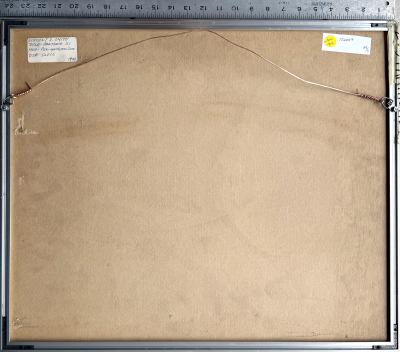 Vincent D Smith Black Panther Trials Civil Rights Movement Police Violence African American