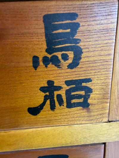 Vintage Chinese Apothecary Cabinet Painted Calligraphy 10 Drawers