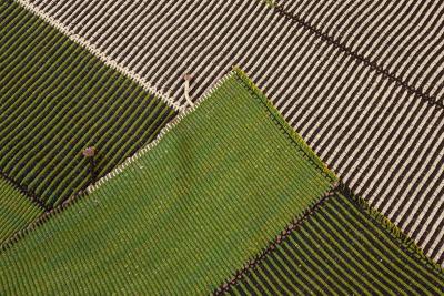 Vintage Composition Persian Kilim