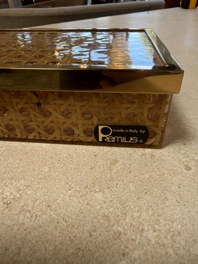 Vintage Lucite Woven Rattan Storage Box with Brass Trim