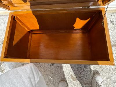 Vintage Mahogany Blanket Chest