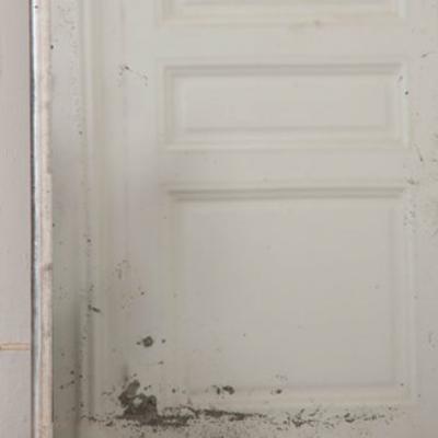 Vintage Silver Giltwood Frame with Antique Glass Plate