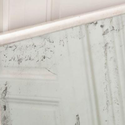 Vintage Silver Giltwood Frame with Antique Glass Plate