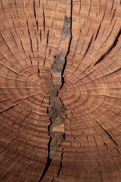 Vintage Stump Chair