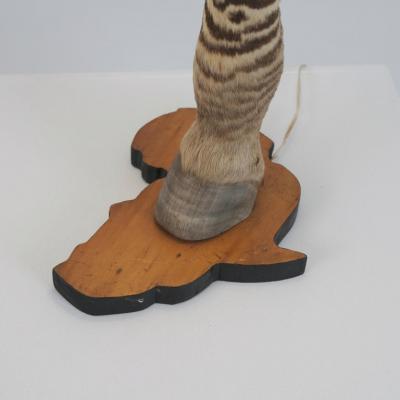Vintage Taxidermy Zebra Hoof Table Lamp with Africa Map Base Early 1970s