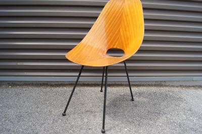 Vittorio Nobili Bentwood Medea Chair by Vittorio Nobili for Fratelli Tagliabue