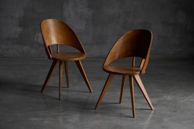Vittorio Nobili Mid Century Plywood Dining Chairs Italy 1950s