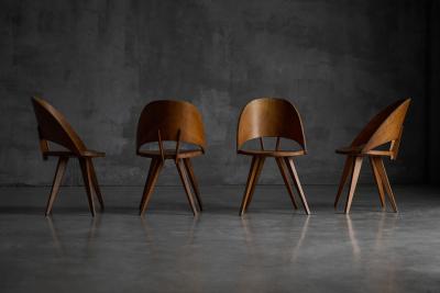 Vittorio Nobili Mid Century Plywood Dining Chairs Italy 1950s