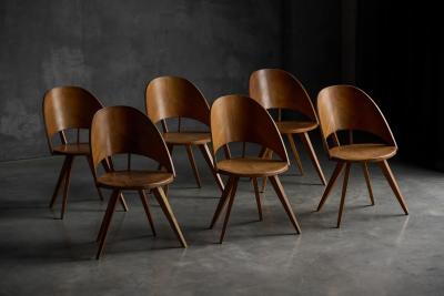 Vittorio Nobili Mid Century Plywood Dining Chairs Italy 1950s
