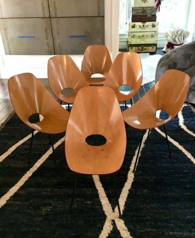 Vittorio Nobili Set of Six Medea Chairs by Vittorio Nobili