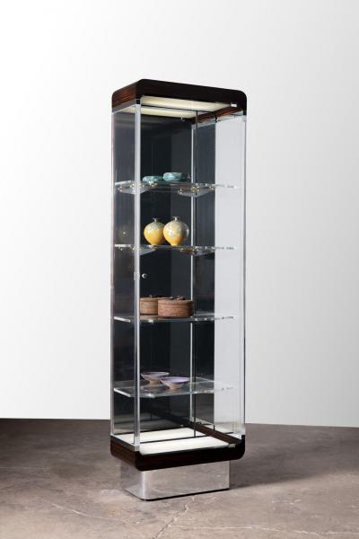 Vladimir Kagan Ribbon Vitrine Model 7711 by Vladimir Kagan