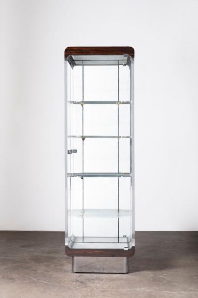 Vladimir Kagan Ribbon Vitrine Model 7711 by Vladimir Kagan
