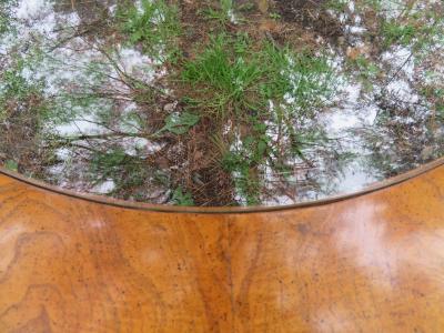 Vladimir Kagan Stunning Vladimir Kagan Lucite and Burl Walnut Coffee Table Mid Century