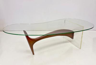 Vladimir Kagan Vladimir Kagan Style Kidney Shape lucite Walnut Coffee Table