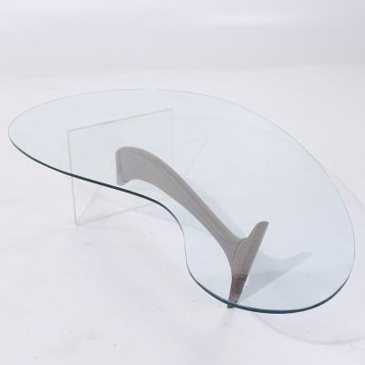 Vladimir Kagan Vladimir Kagan Style Mid Century Walnut and Lucite Kidney Shaped Coffee Table