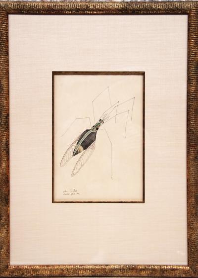 WALTER SPIES WALTER SPIES Insect Studies WATERCOLORS Set of 4