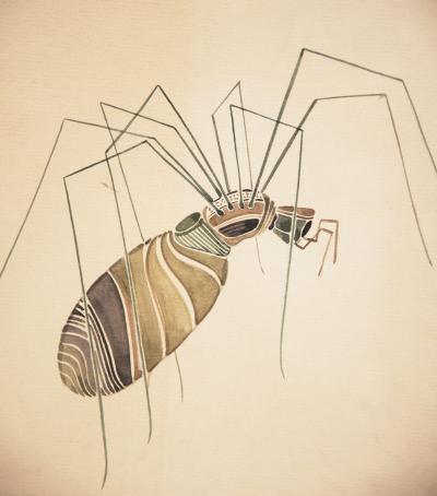 WALTER SPIES WALTER SPIES Insect Studies WATERCOLORS Set of 4