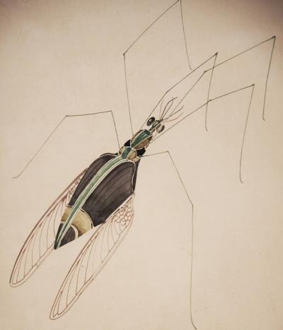 WALTER SPIES WALTER SPIES Insect Studies WATERCOLORS Set of 4