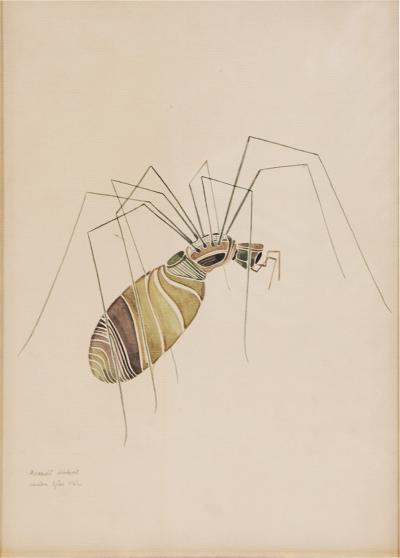 WALTER SPIES WALTER SPIES Insect Studies WATERCOLORS Set of 4