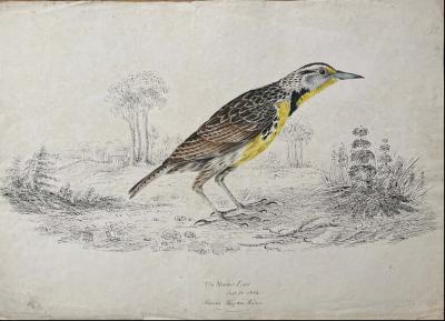 WILLIAM POPE THE MEADOWLARK JUNE 16 1834 ALANDA MAITNA WILLS