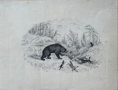 WILLIAM POPE WILLIAM POPE BRITISH CANADIAN 1811 1902 BEAR HUNTING