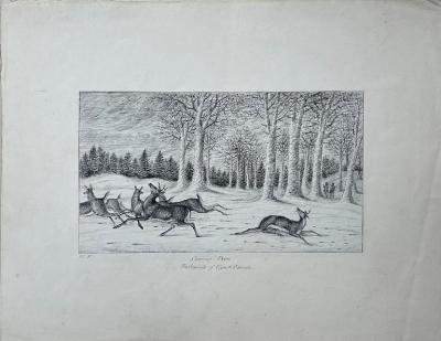 WILLIAM POPE WILLIAM POPE BRITISH CANADIAN 1811 1902 SHOOTING DEER