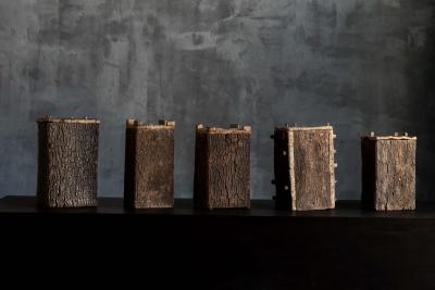 Wabi Sabi Vernacular Log Beehives France 19th Century