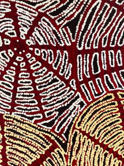 Walangkura Napanangka Contemporary Australian Aboriginal Painting by Walangkura Napanangka