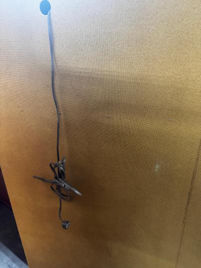 Walnut and Glass Modern Lighted Display Bookcase