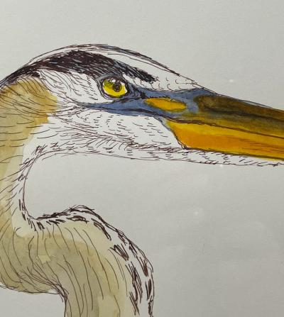 Walton Ford WALTON FORD AMERICAN B 1960 HERON STUDY FOR VESPERS 2022