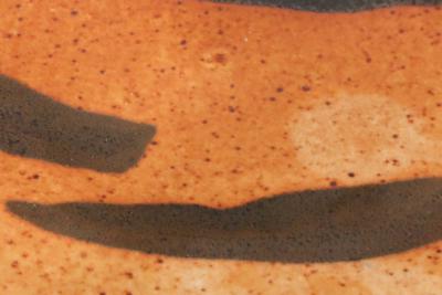 Warren MacKenzie Warren MacKenzie Large Ceramic Platter