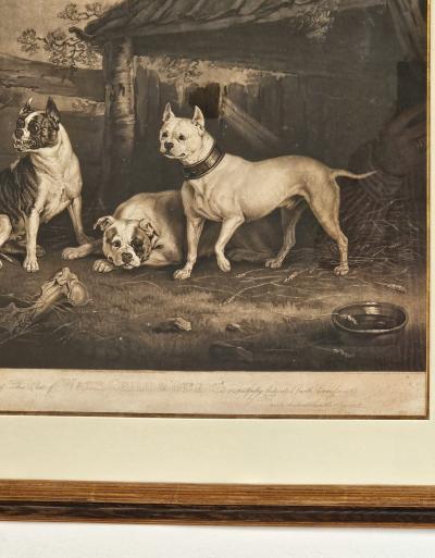 Wasp Child Billy 1809