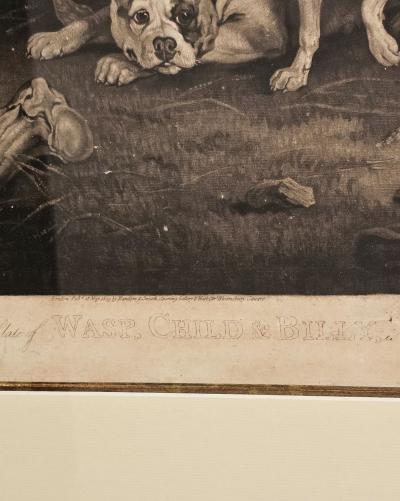 Wasp Child Billy 1809