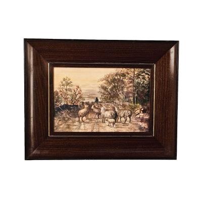 Watercolor of Sheep U S A circa 1950