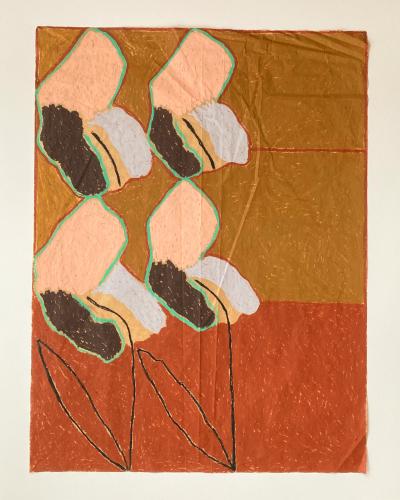 Wayne Pate Iris Bulbs No 45