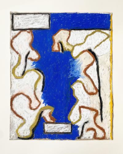 Wayne Pate Iris Bulbs No 48